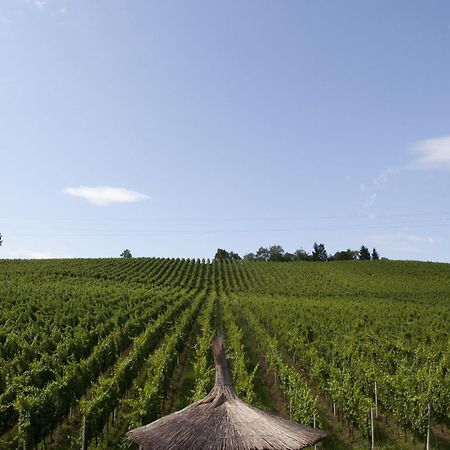 Stupnicki Dvori Winery Hotel Brodski Stupnik Экстерьер фото