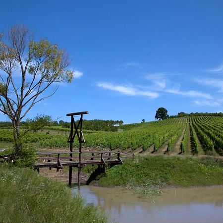 Stupnicki Dvori Winery Hotel Brodski Stupnik Экстерьер фото