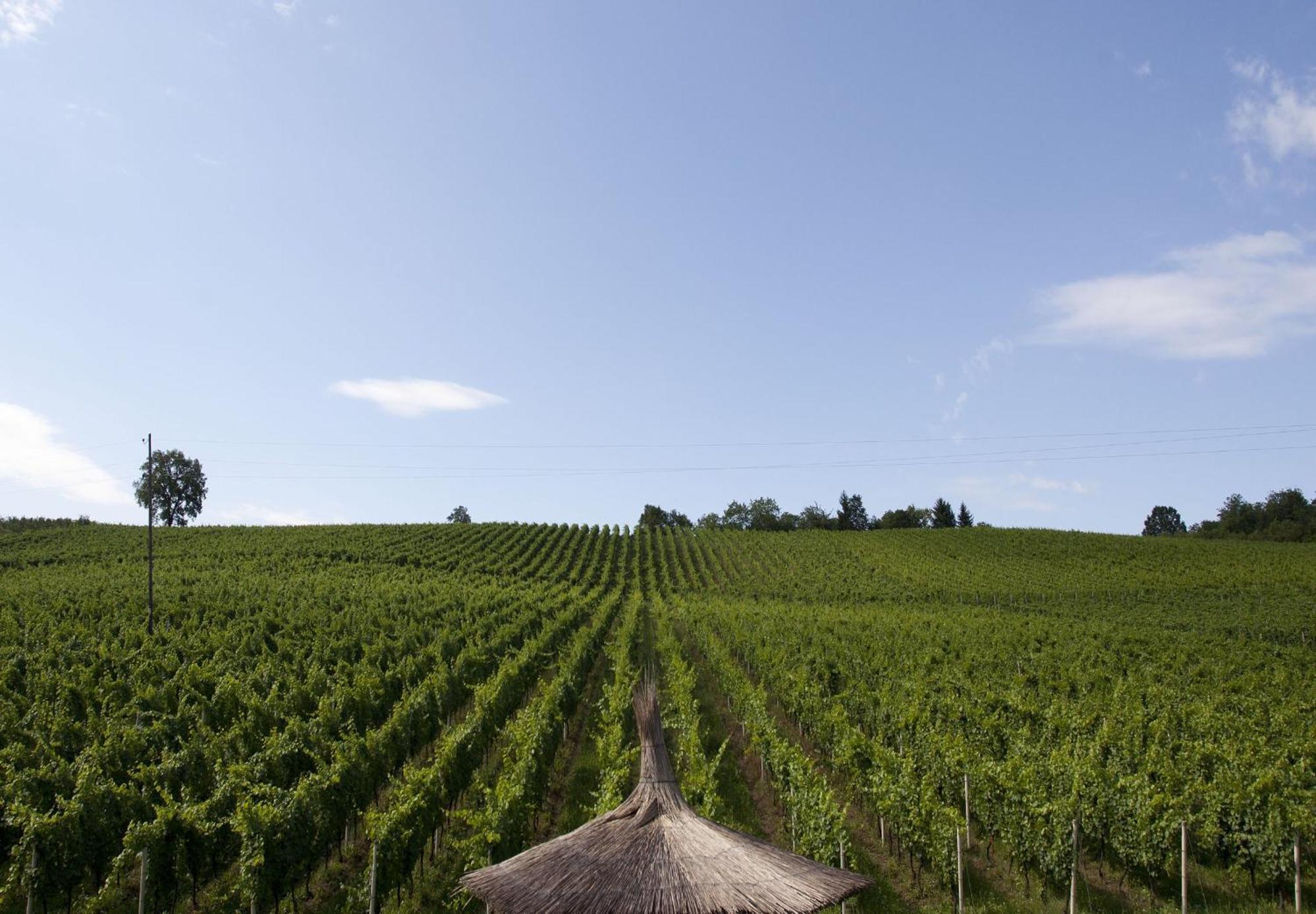 Stupnicki Dvori Winery Hotel Brodski Stupnik Экстерьер фото