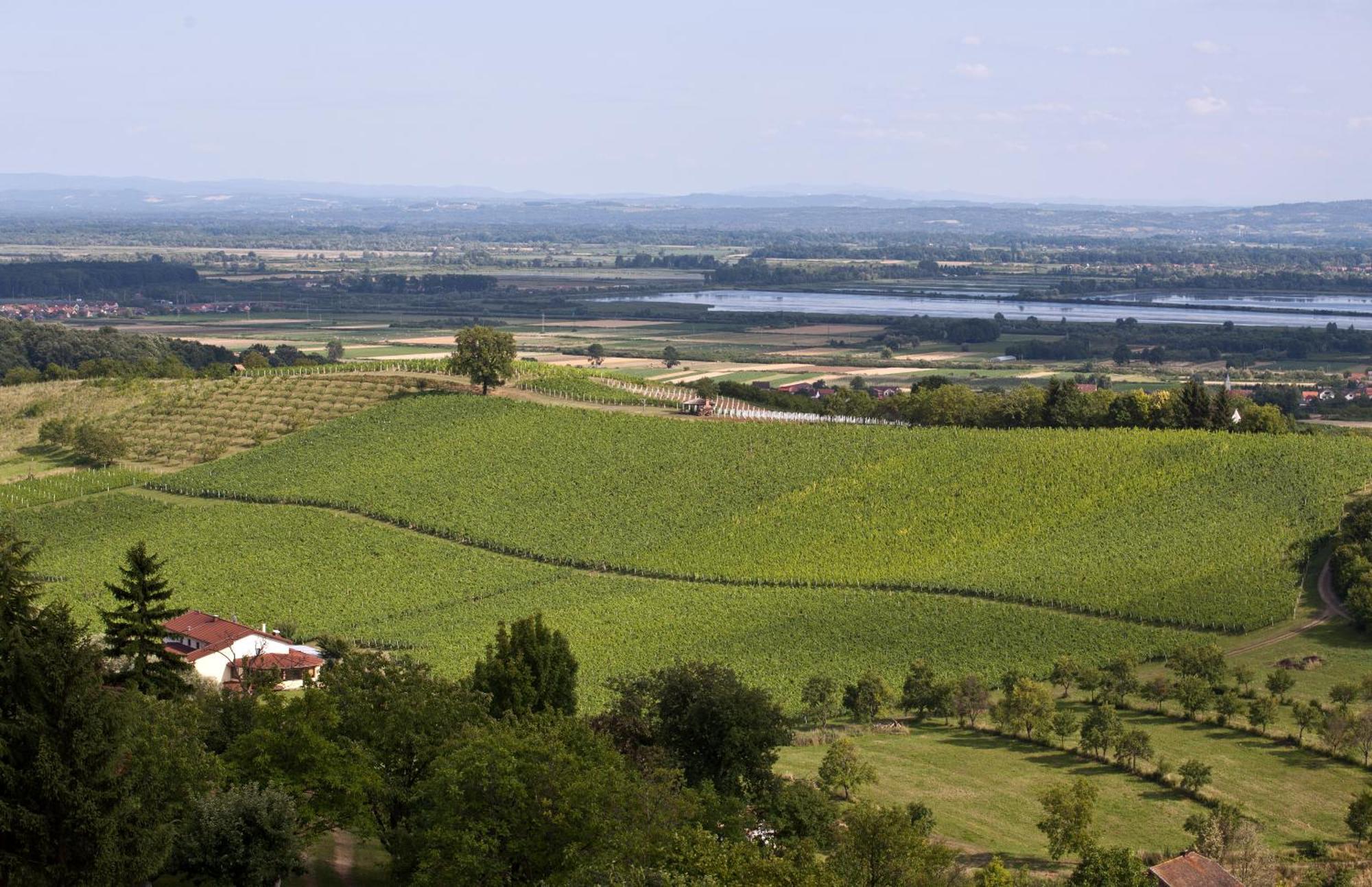 Stupnicki Dvori Winery Hotel Brodski Stupnik Экстерьер фото