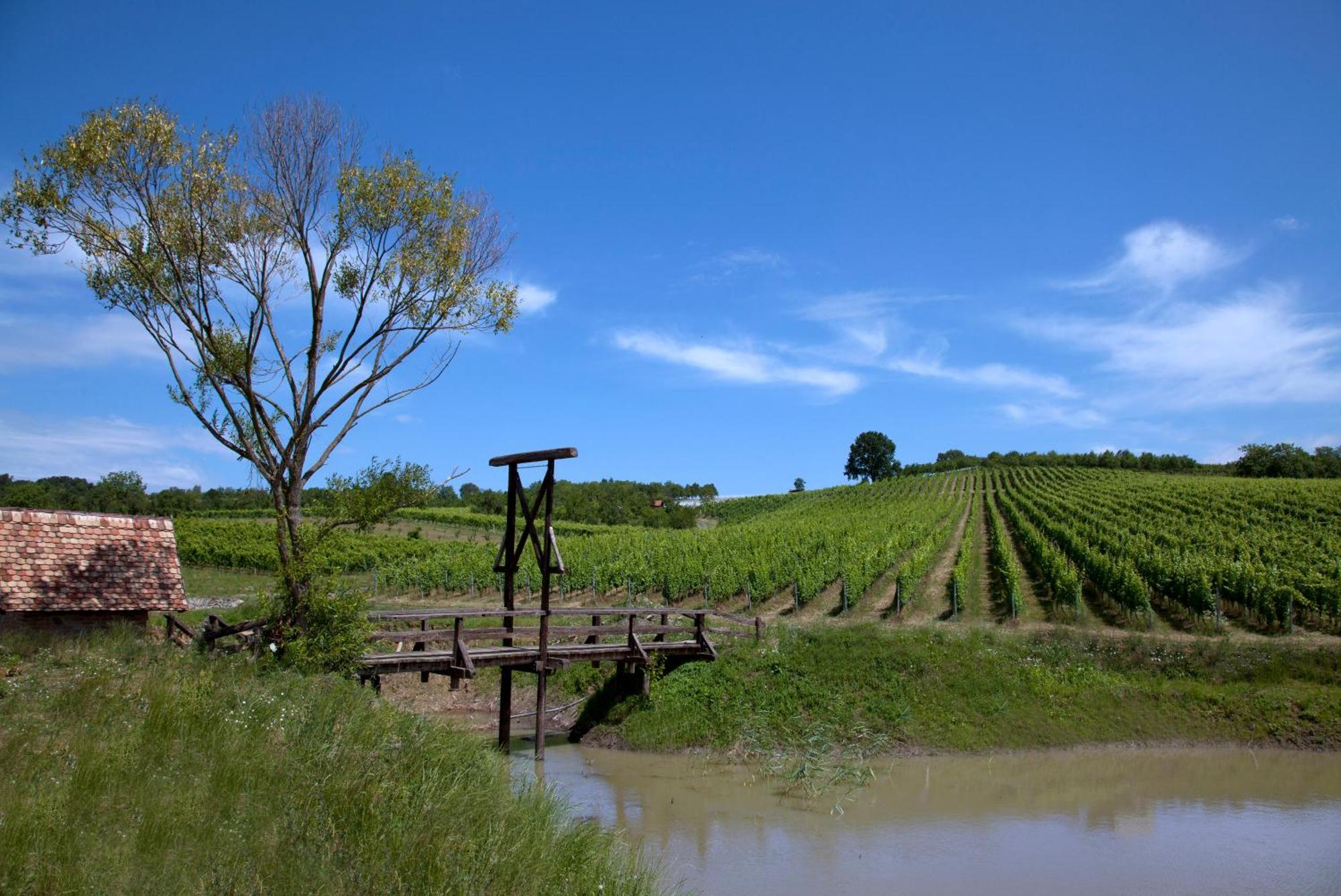 Stupnicki Dvori Winery Hotel Brodski Stupnik Экстерьер фото