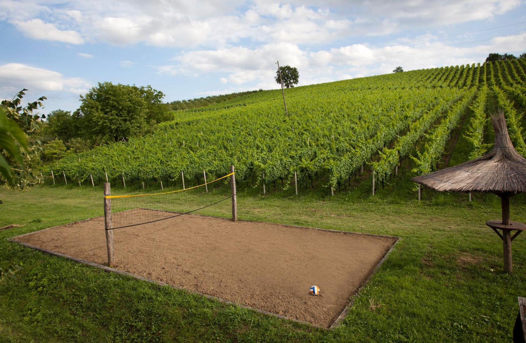 Stupnicki Dvori Winery Hotel Brodski Stupnik Экстерьер фото