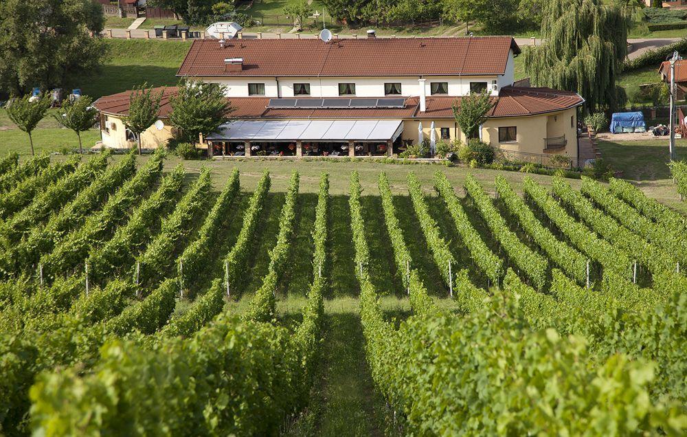 Stupnicki Dvori Winery Hotel Brodski Stupnik Экстерьер фото