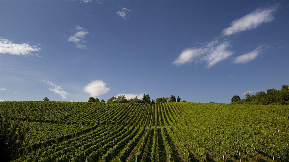Stupnicki Dvori Winery Hotel Brodski Stupnik Экстерьер фото