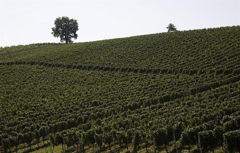 Stupnicki Dvori Winery Hotel Brodski Stupnik Экстерьер фото