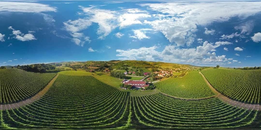Stupnicki Dvori Winery Hotel Brodski Stupnik Экстерьер фото
