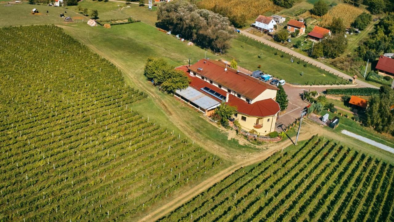 Stupnicki Dvori Winery Hotel Brodski Stupnik Экстерьер фото